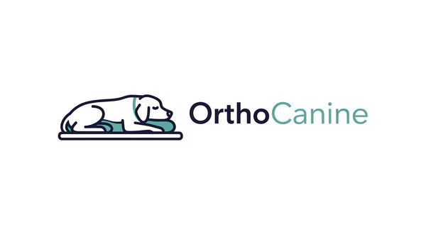 OrthoCanine